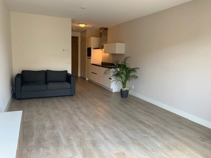 House Image 3