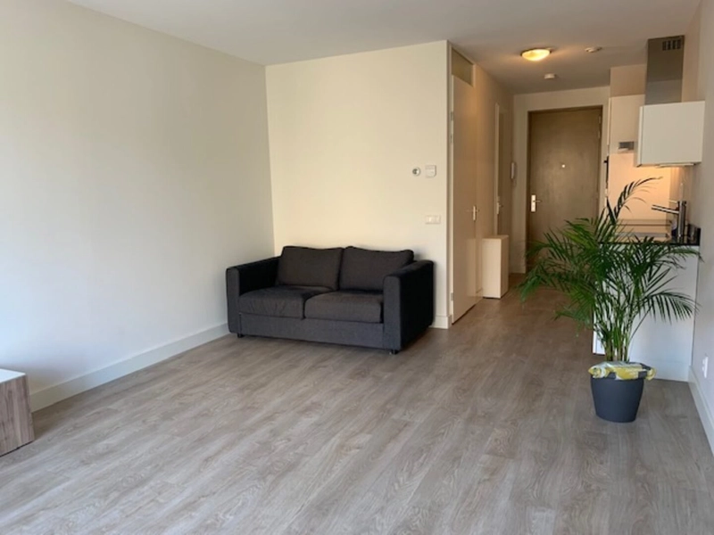House Image 4