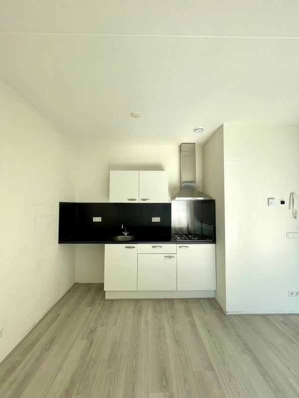 House Image 4
