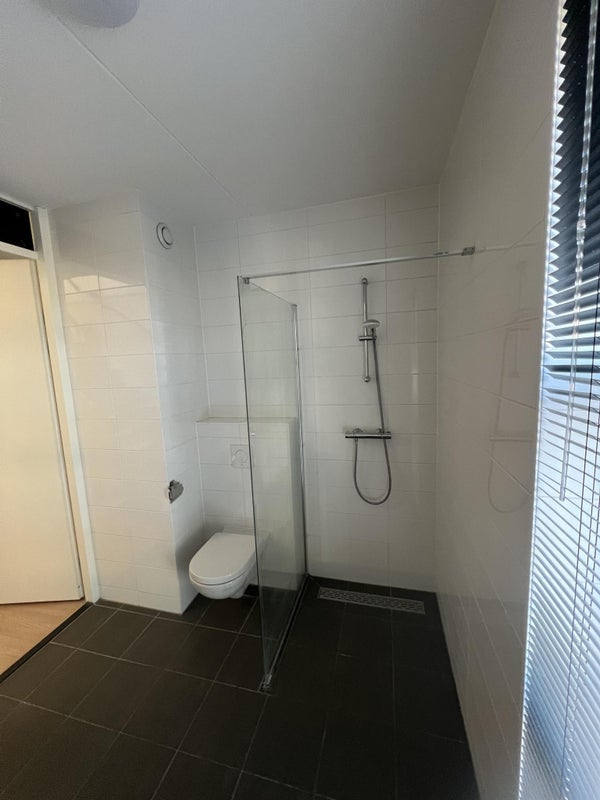 House Image 4