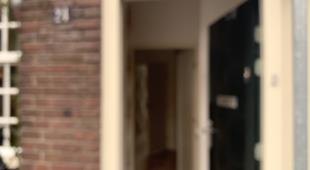 House Image 2