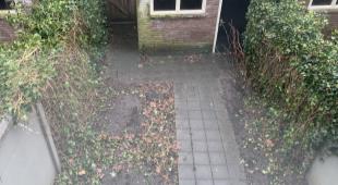 House Exterior