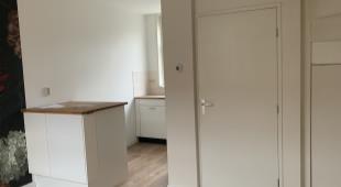 House Image 4