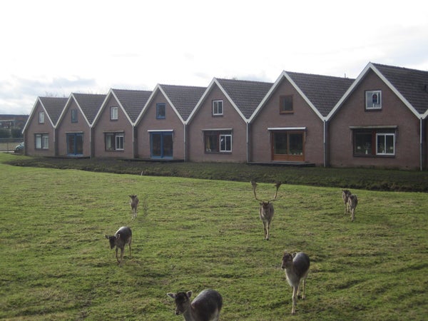 House Exterior