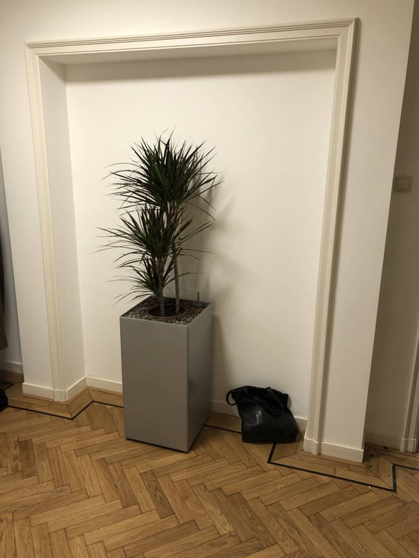 House Image 5