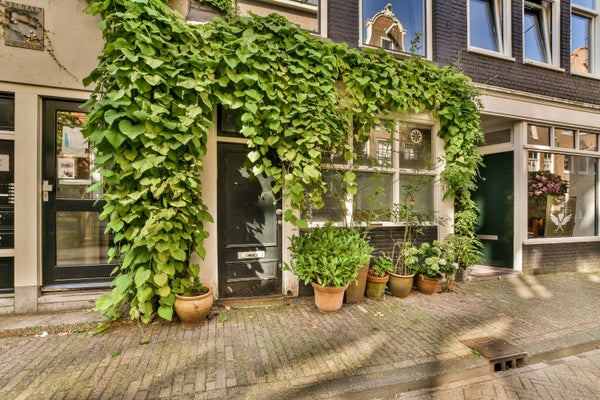 House Exterior