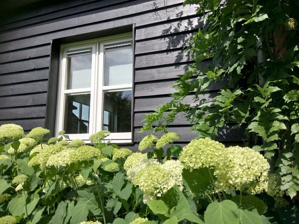 House Exterior