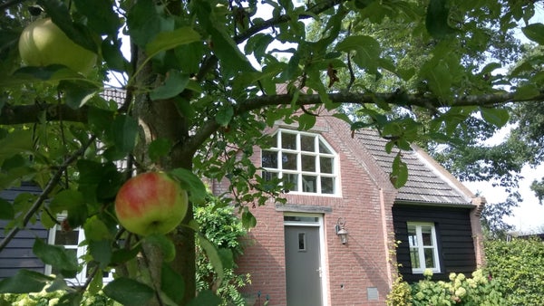 House Exterior