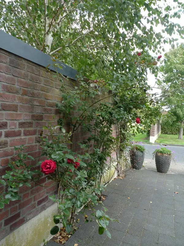 House Exterior