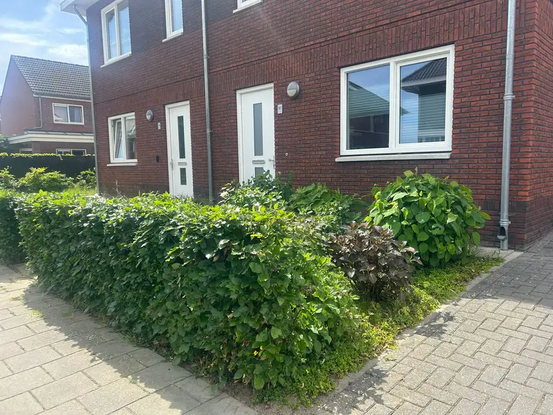 House Image