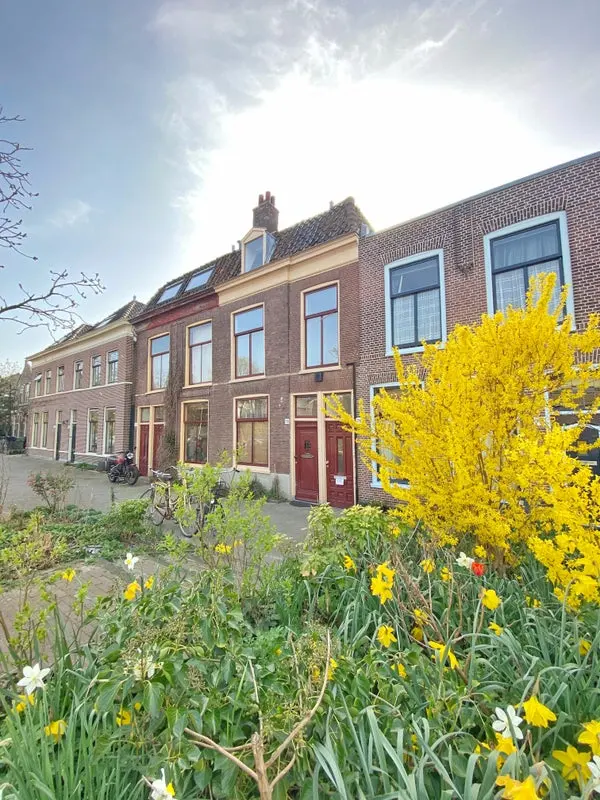 House Exterior
