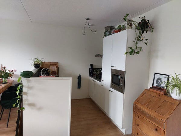 House Image 3