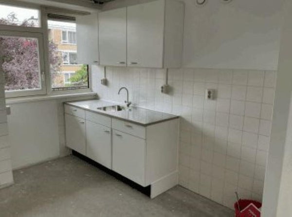 House Image 4
