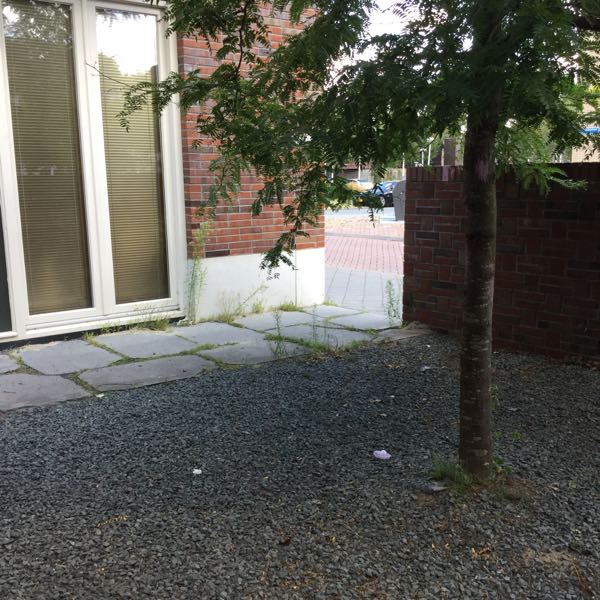 House Exterior