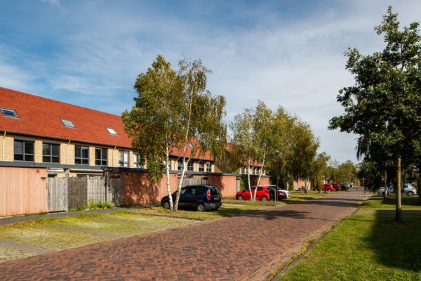 House Exterior
