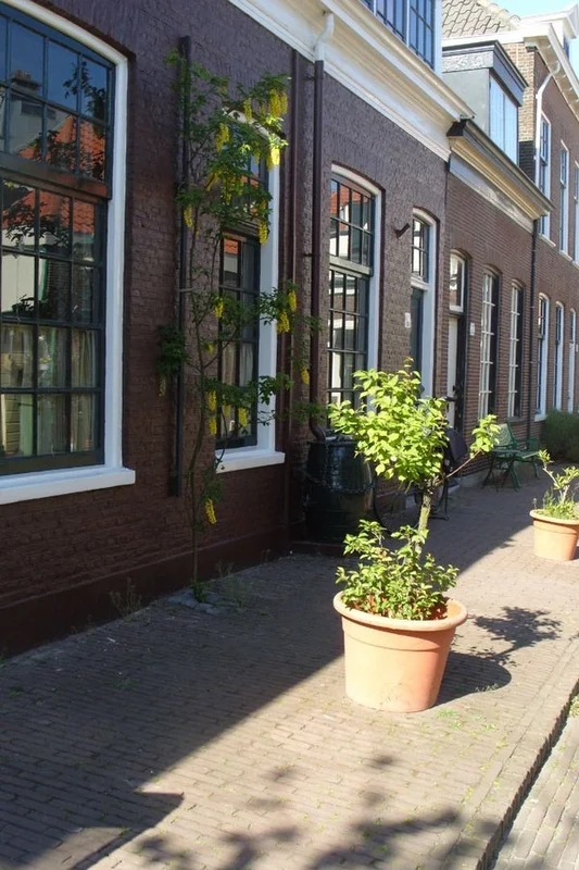 House Exterior
