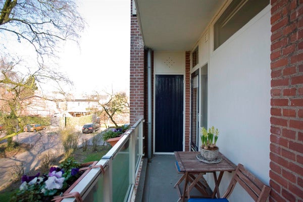 House Image 5