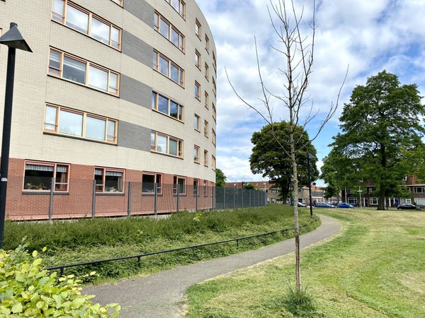 House Exterior