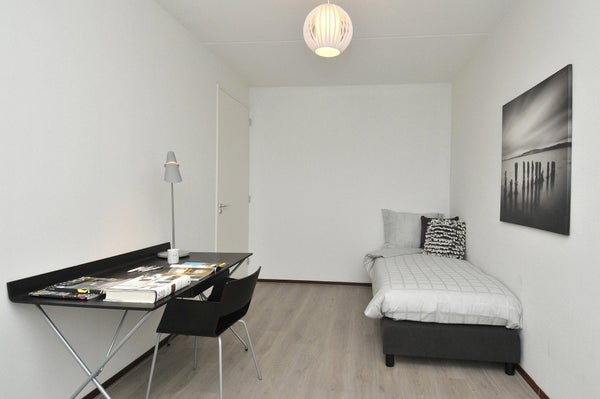 House Image 5