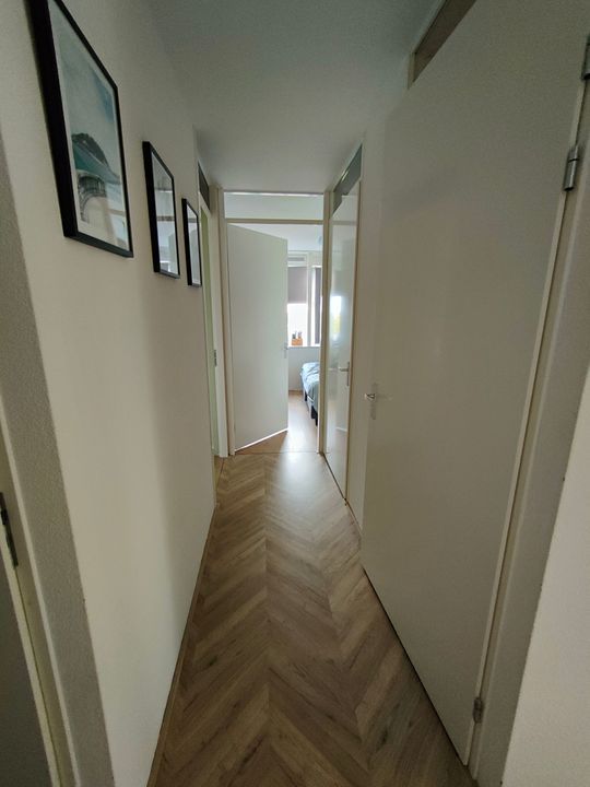 House Image 3