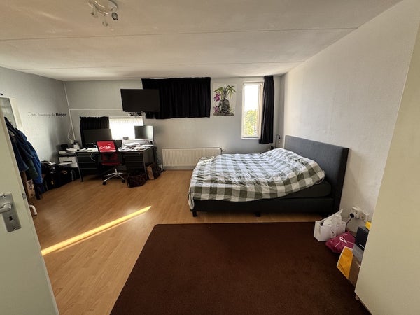 House Image 5
