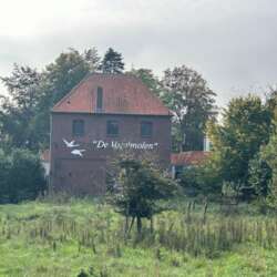 recent house