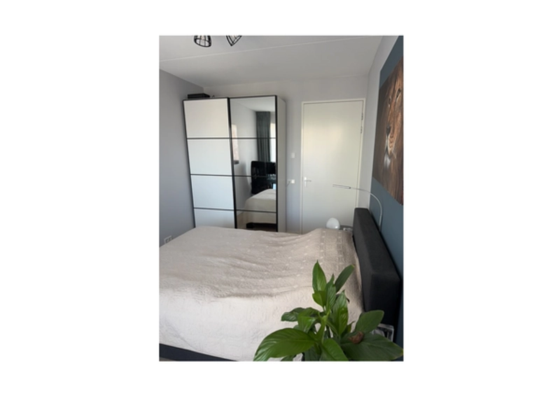 House Image 5