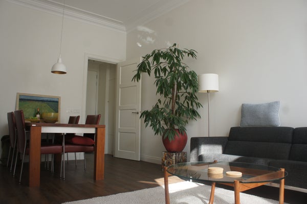 House Image 3