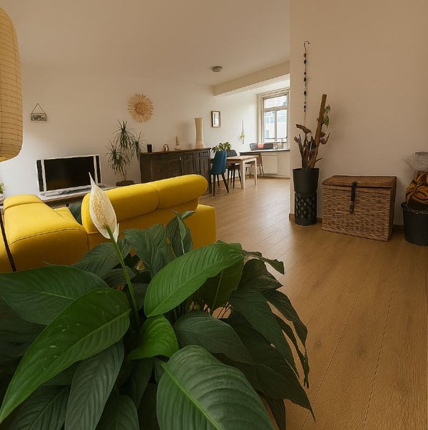House Image 4