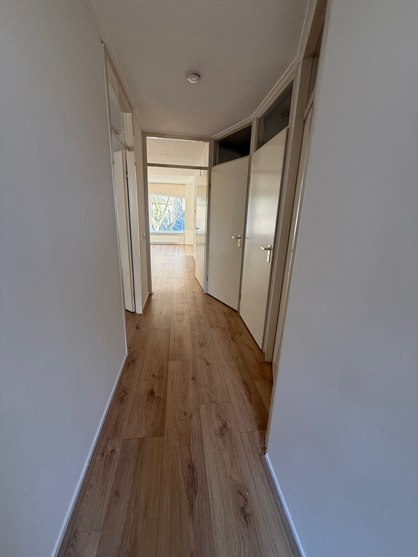 recent house