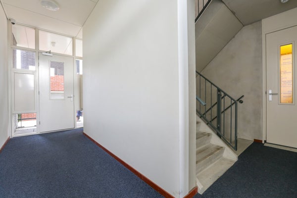 House Image 5