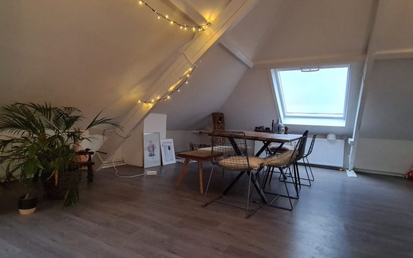 House Image 3