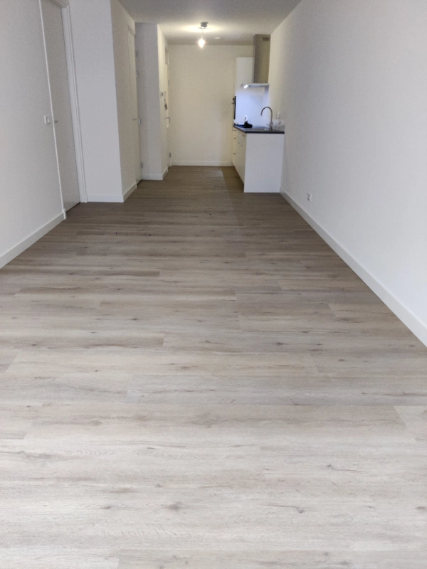 House Image 5