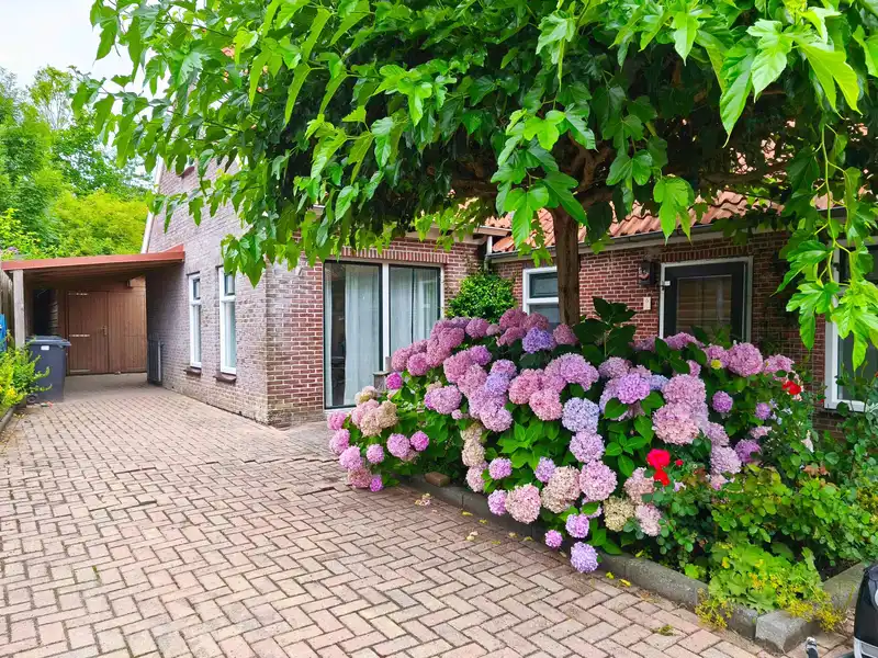 House Exterior