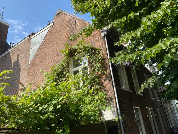 House Exterior