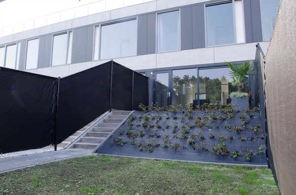 House Exterior