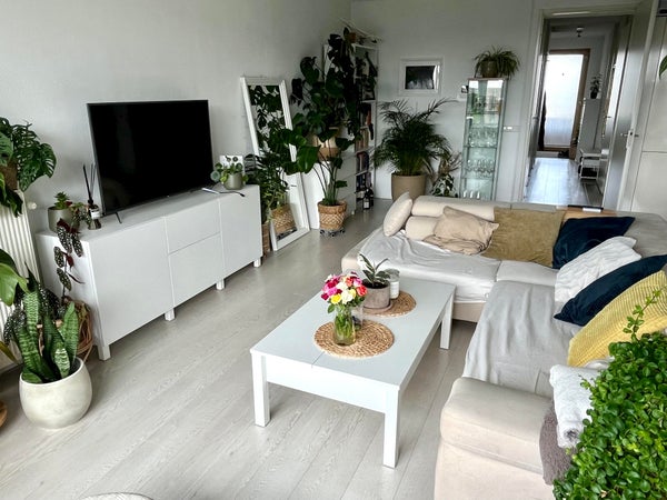 recent house