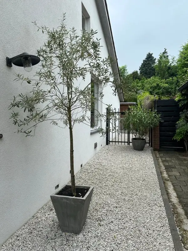 House Exterior