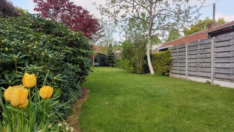 House Exterior