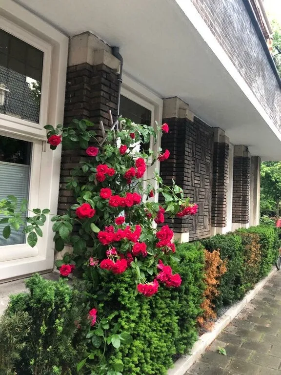 House Exterior