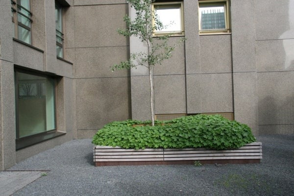 House Exterior