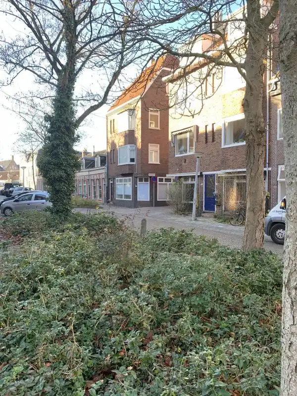 House Exterior