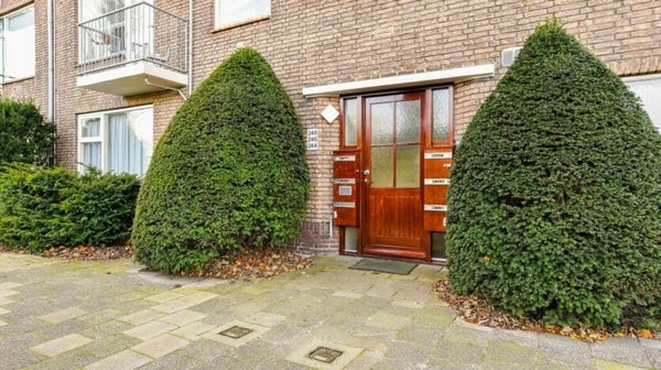 House Image 2