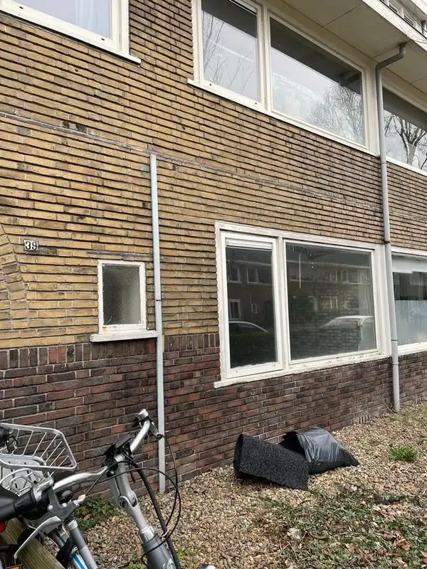 House Image 2