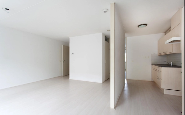 House Image 4