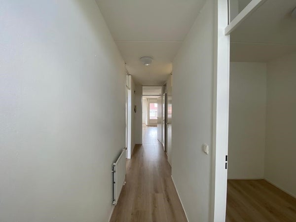 House Image 3
