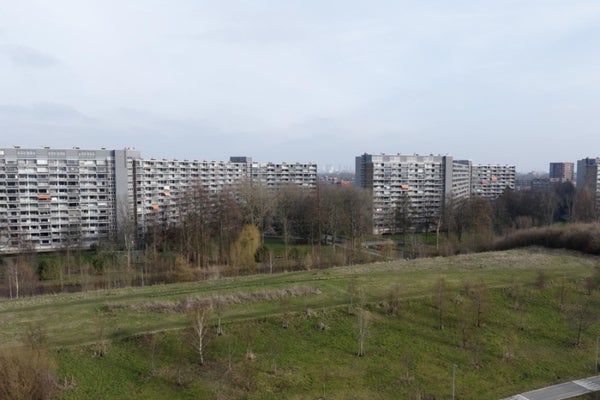 House Image 5
