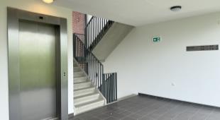 House Image 3