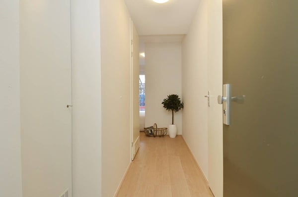 House Image 3