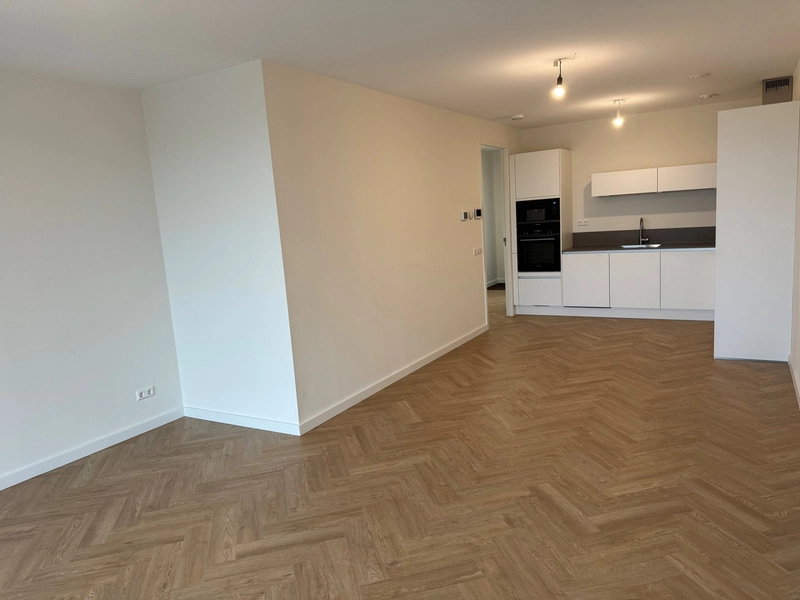House Image 3